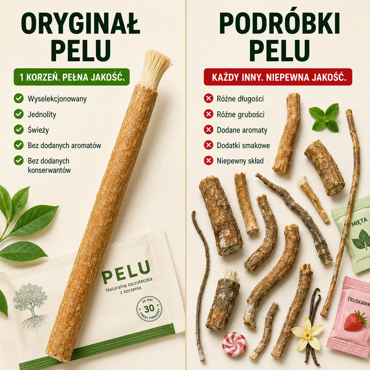 Koreo - Korzeń Pelu
