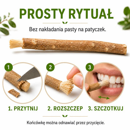 Koreo - Korzeń Pelu